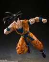 (PO) S.H.Figuarts Dragonball Super: SUPER HERO - Son Gokou (Re-issue) Image_6