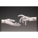 (PO) Artist Support Item Hand Model/L -White- Image_6