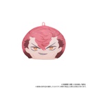 (PO) Kaiju No. 8 Anizukin (Plush Mascot) [BOX] Image_14