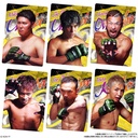 (PO) Rizin Wafer Card 24 [BOX] Image_4