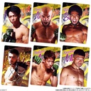 (PO) Rizin Wafer Card 24 [BOX] Image_7