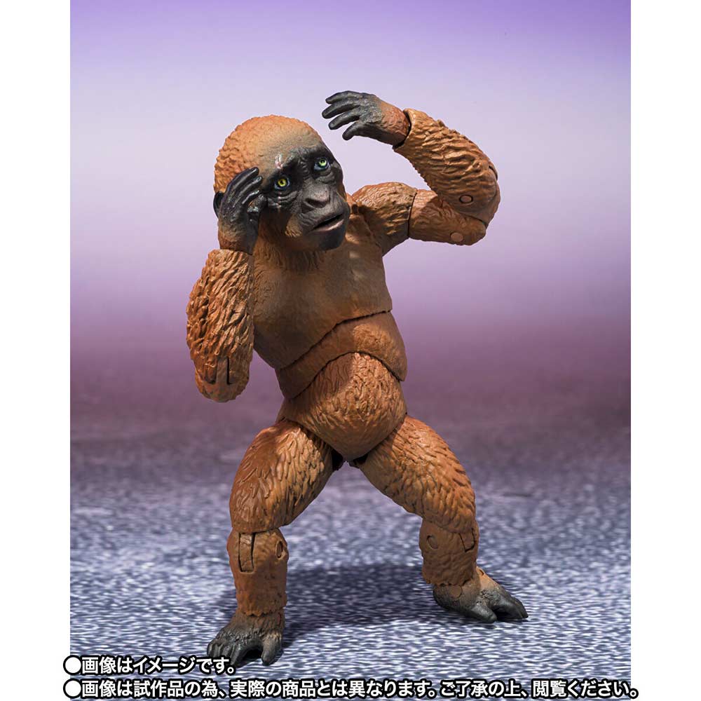 (PO) S.H.MonsterArts Godzilla x Kong: The New Empire - Suko & Mothra (2024) + option parts set Image_5