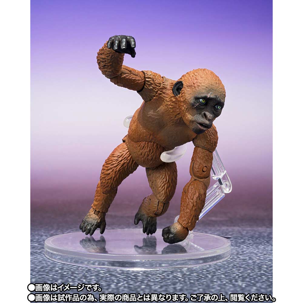 (PO) S.H.MonsterArts Godzilla x Kong: The New Empire - Suko & Mothra (2024) + option parts set Image_6