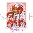 (PO) Cardcaptor Sakura PashaColle [BOX] Image_2