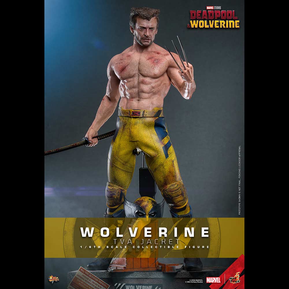 (PO) Movie Masterpiece Series MMS756 - Deadpool & Wolverine - Wolverine (Jacket Version) Image_2