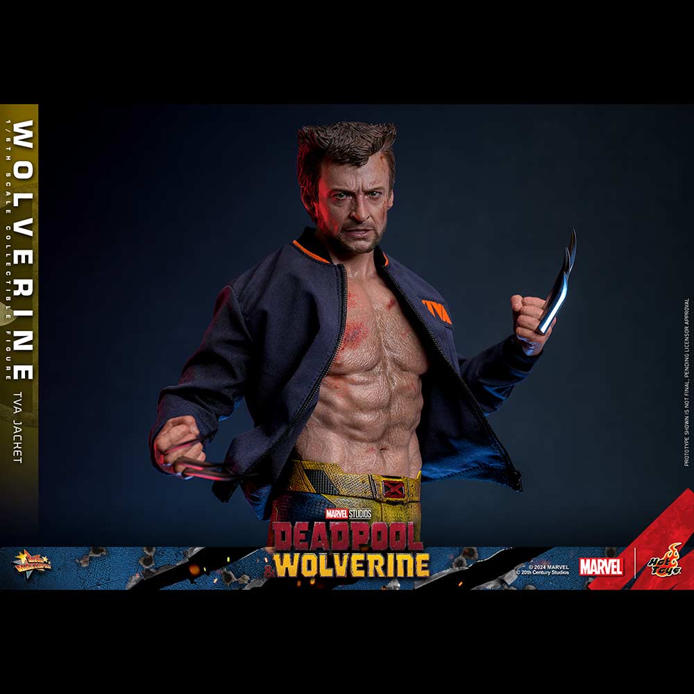 (PO) Movie Masterpiece Series MMS756 - Deadpool & Wolverine - Wolverine (Jacket Version) Image_3
