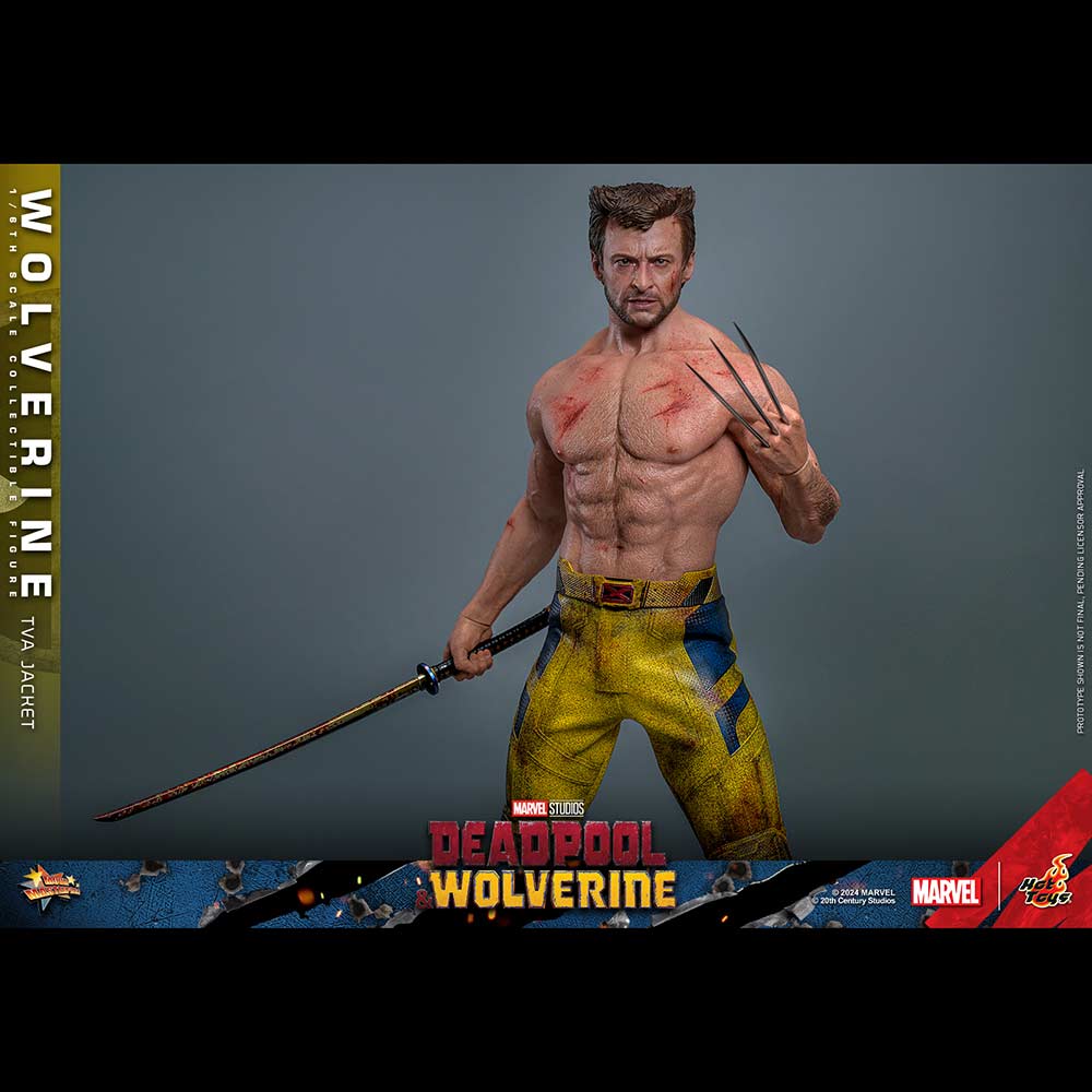 (PO) Movie Masterpiece Series MMS756 - Deadpool & Wolverine - Wolverine (Jacket Version) Image_4