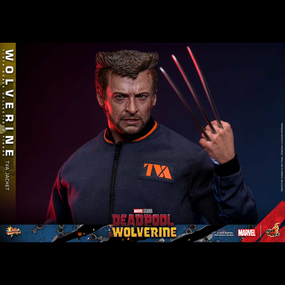 (PO) Movie Masterpiece Series MMS756 - Deadpool & Wolverine - Wolverine (Jacket Version) Image_5