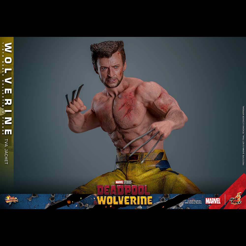 (PO) Movie Masterpiece Series MMS756 - Deadpool & Wolverine - Wolverine (Jacket Version) Image_7