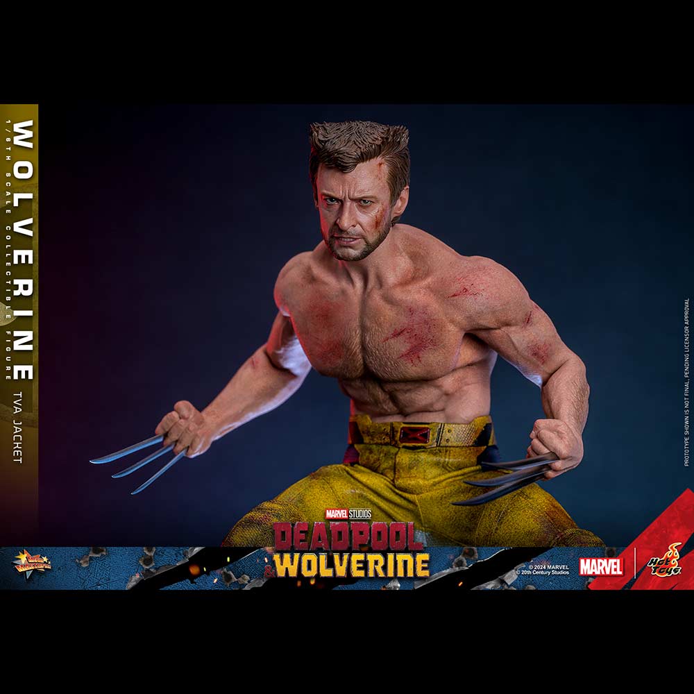 (PO) Movie Masterpiece Series MMS756 - Deadpool & Wolverine - Wolverine (Jacket Version) Image_9