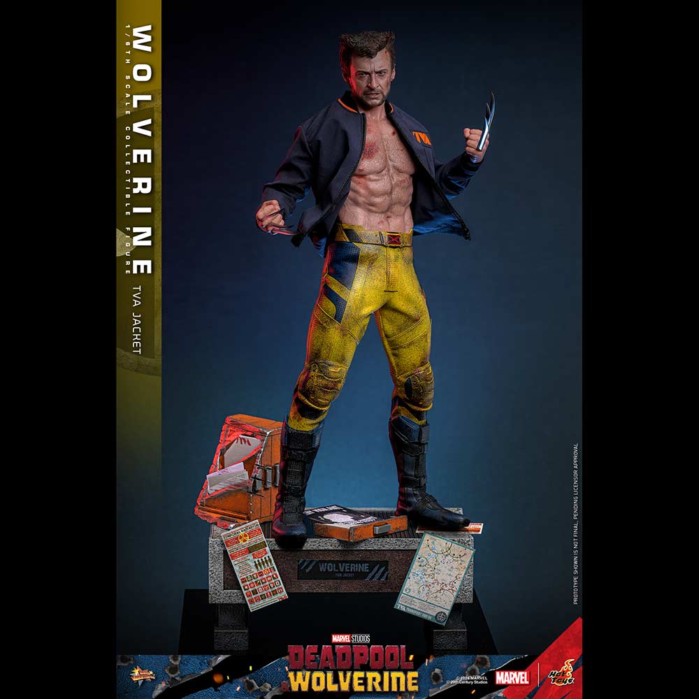 (PO) Movie Masterpiece Series MMS756 - Deadpool & Wolverine - Wolverine (Jacket Version) Image_13