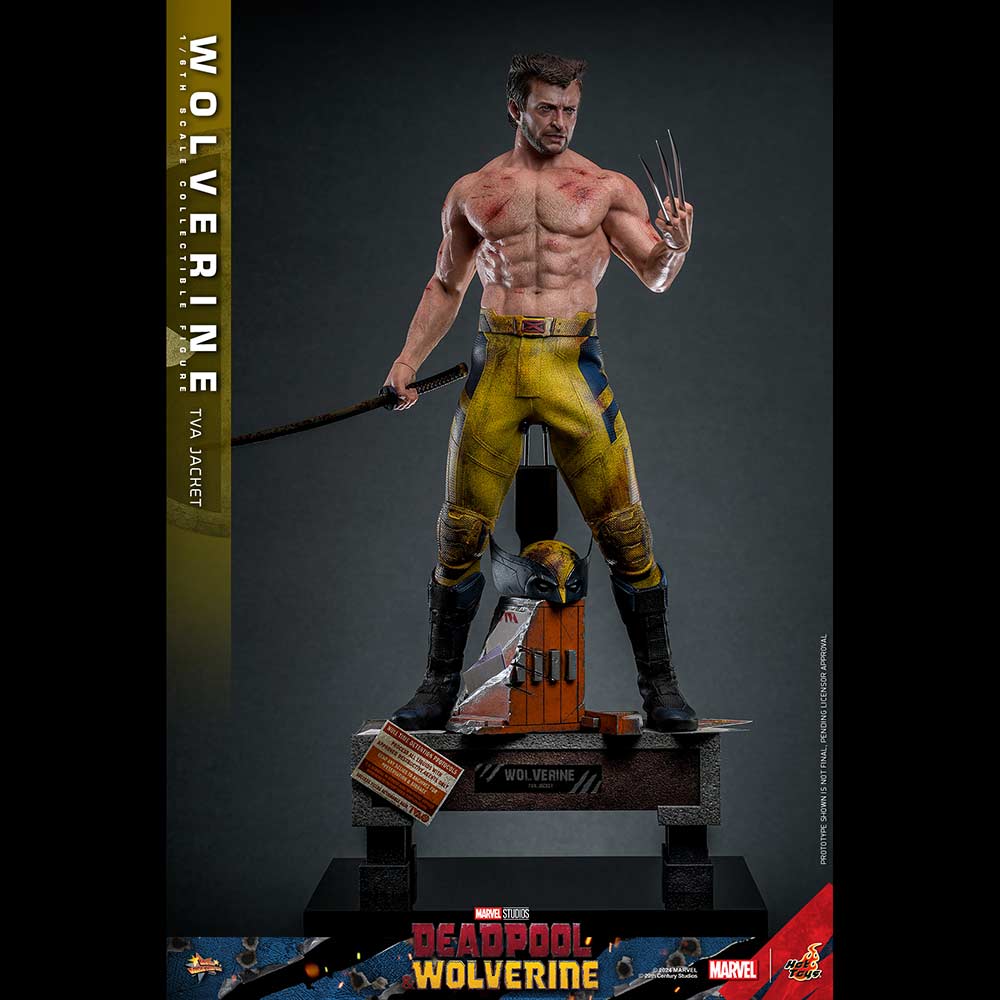 (PO) Movie Masterpiece Series MMS756 - Deadpool & Wolverine - Wolverine (Jacket Version) Image_17