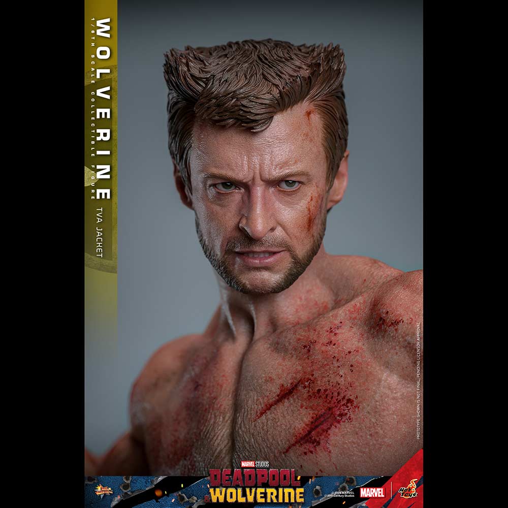 (PO) Movie Masterpiece Series MMS756 - Deadpool & Wolverine - Wolverine (Jacket Version) Image_19