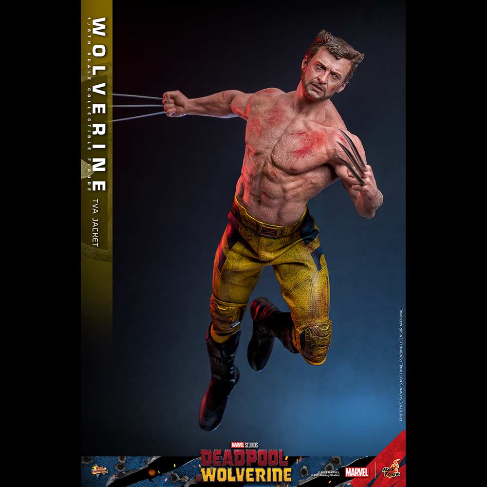(PO) Movie Masterpiece Series MMS756 - Deadpool & Wolverine - Wolverine (Jacket Version) Image_20
