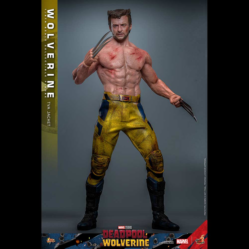 (PO) Movie Masterpiece Series MMS756 - Deadpool & Wolverine - Wolverine (Jacket Version) Image_21