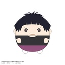 (PO) HQ-71 Haikyu!! Fuwakororin (M Size) 9 F Goshiki Tsutomu Image_1