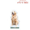 (PO) Chiharu Sawashiro, Shugo Nakamura, Takuya Yamanaka no Maison de Chaos Takuya Yamanaka Big Acrylic Stand Vol. 2 Image_3