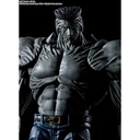 (PO) S.H.Figuarts YuYu Hakusho - Younger Toguro 100% Image_5