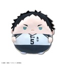 (PO) HQ-85 Haikyu!! Fuwakororin Big 3 E Akaashi Keiji (Re-issue) Image_1