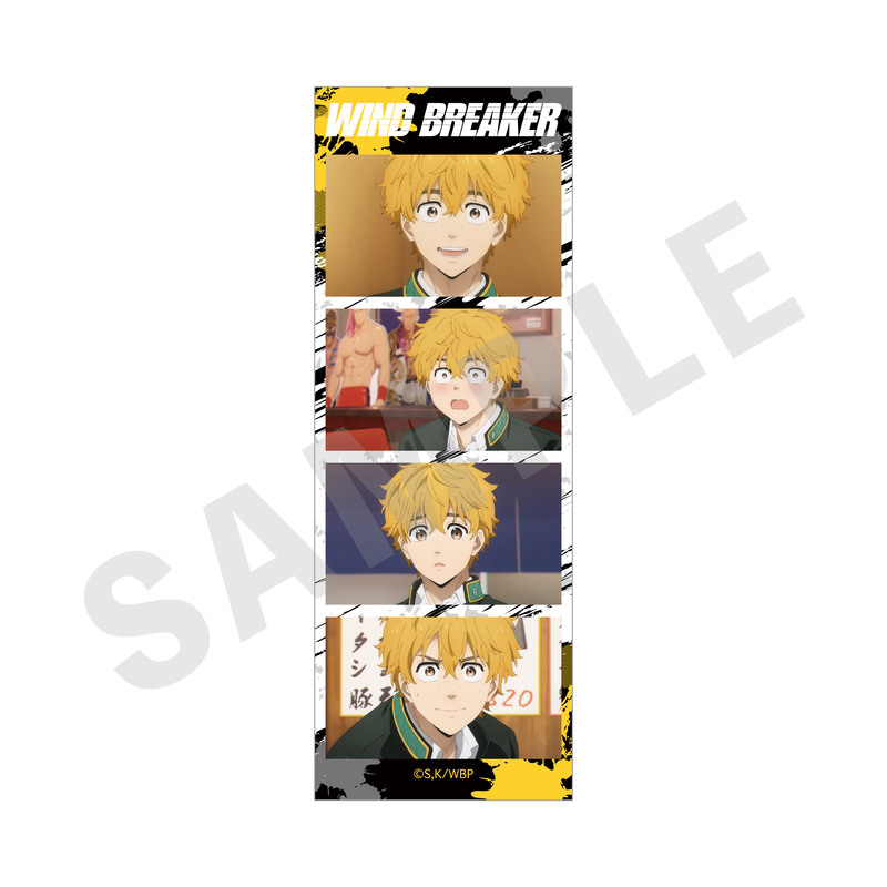 (PO) Wind Breaker -Favorite Series- Trading Card [BOX] Image_3