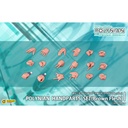 (PO) Polynian Handparts Set (Brown Flesh) Image_1
