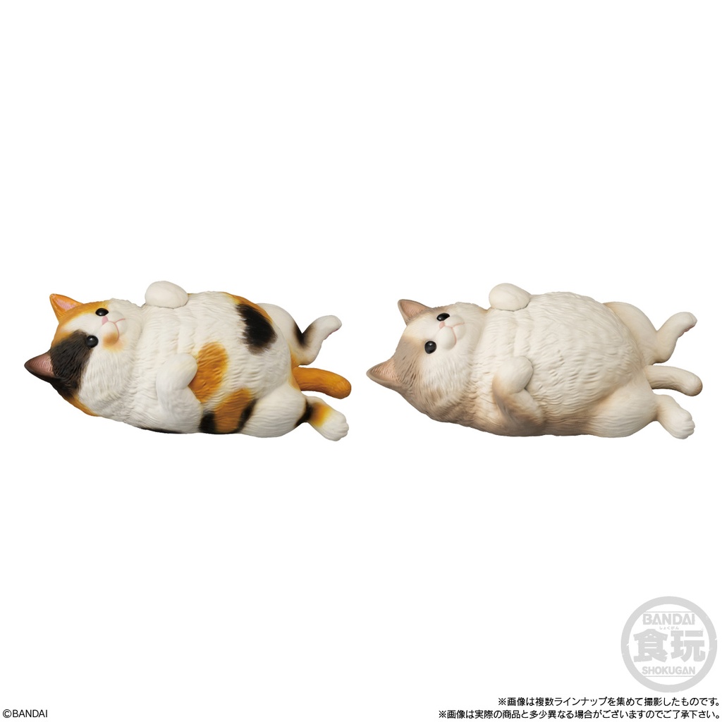 (PO) Mocchirikororin Cat [BOX] Image_2