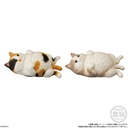 (PO) Mocchirikororin Cat [BOX] Image_2