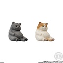 (PO) Mocchirikororin Cat [BOX] Image_3