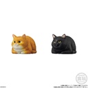 (PO) Mocchirikororin Cat [BOX] Image_5