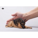 JxK 1/6 German Shepherd Lying JxK254A Image_6