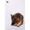 JxK 1/6 German Shepherd Lying JxK254A Image_9