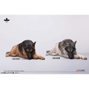 JxK 1/6 German Shepherd Lying JxK254A Image_10