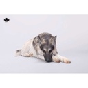 JxK 1/6 German Shepherd Lying JxK254B Image_2