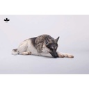 JxK 1/6 German Shepherd Lying JxK254B Image_4