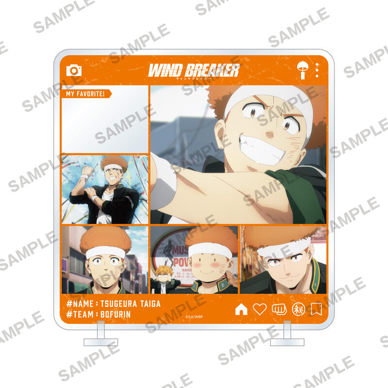 (PO) Wind Breaker Character in Stand Tsugeura Taiga Image_1