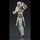 (PO) DIGACTION Fist of the North Star - Toki Image_4