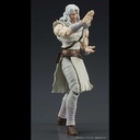 (PO) DIGACTION Fist of the North Star - Toki Image_5