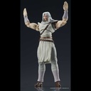 (PO) DIGACTION Fist of the North Star - Toki Image_12