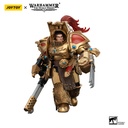 (PO) Joytoy Warhammer 40k - Legio Custodes Aquilon Terminator Squad Aquilon with Infernus Firepike Image_4