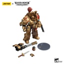 (PO) Joytoy Warhammer 40k - Legio Custodes Aquilon Terminator Squad Aquilon with Infernus Firepike Image_5