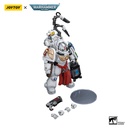 (PO) Joytoy Warhammer 40k - Uitramarines Apothecary Biologis Image_5