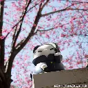 4535123843846_04.webp
