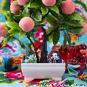 4535123843914_08.webp