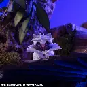 4535123844447_015.webp