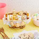 4570117922534_01.webp