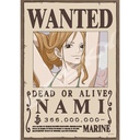 (PO) One Piece Jigsaw Puzzle 208 Piece 208-136 Navigator Cat Burglar Nami Image_1
