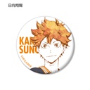 (PO) Haikyu! Trading Ani-Art Can Badge Ver. A (4) Image_2