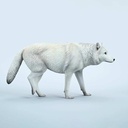 JxK 1/6 Common Gray Wolf JXK223-A3