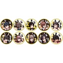 (PO) Tougen Anki Illustration Can Badge Collection Bunny Ver. [BOX]
