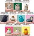 Friends on Hand 7 [BOX]